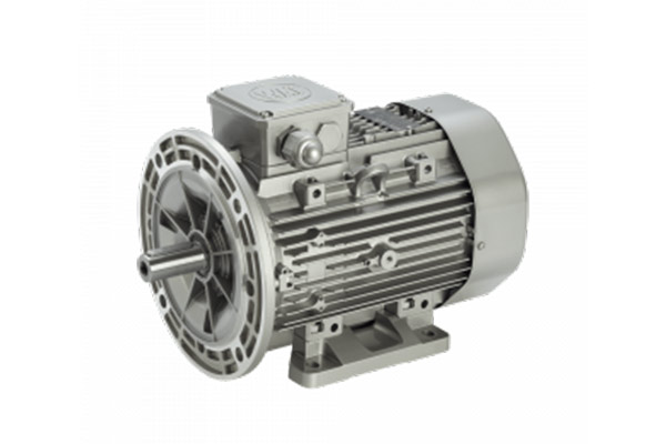 Squirrel-Cage-Induction-Motors
